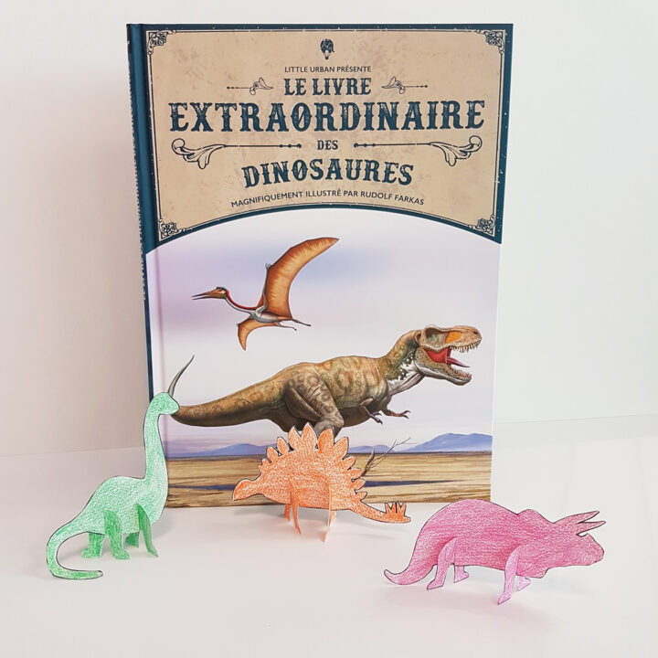 Mes dinos en carton