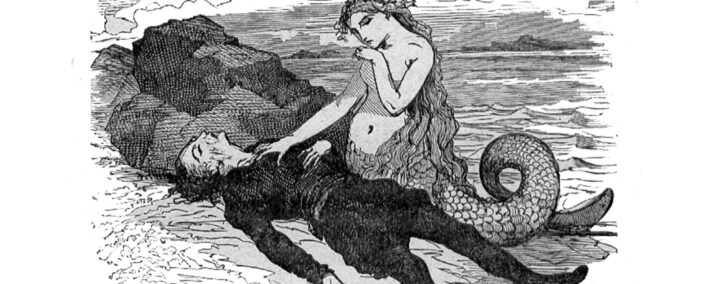 Une brève histoire de contes