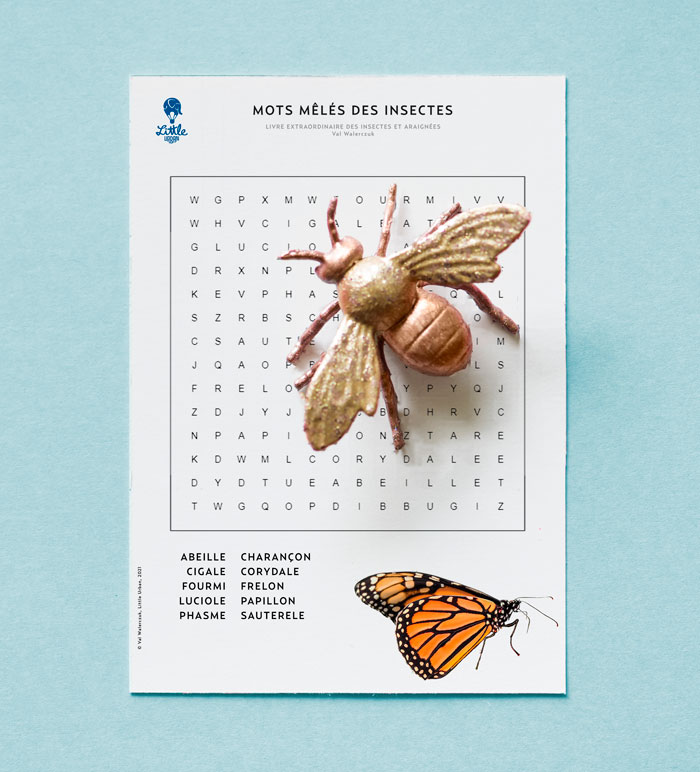 Mots mêlés insectes et araignées