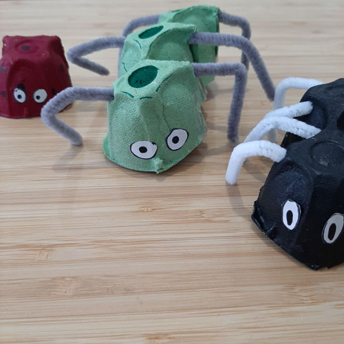 Créer des insectes