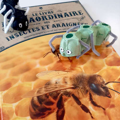 Créer des insectes