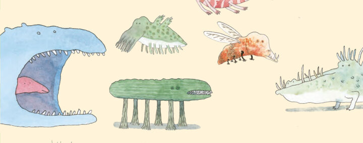Dessine ton animal qui existe peut-être !
