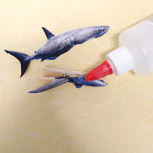 Un requin miniature