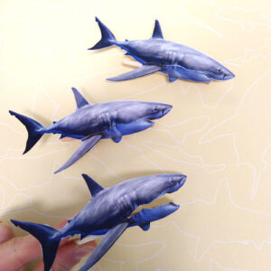 Un requin miniature