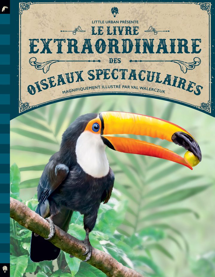 Le Livre extraordinaire des oiseaux spectaculaires