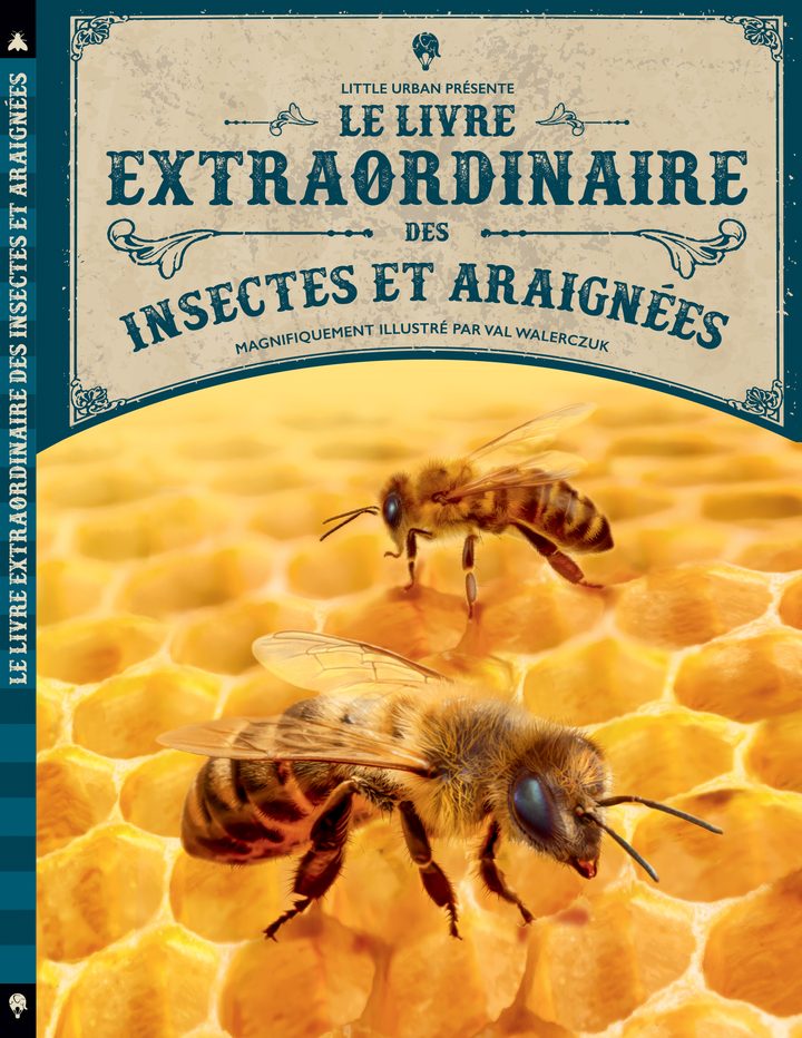 Le Livre extraordinaire des insectes et araignées