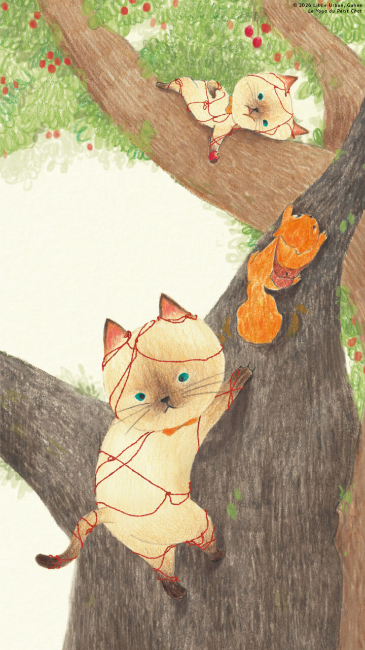 Le yoga du petit chat